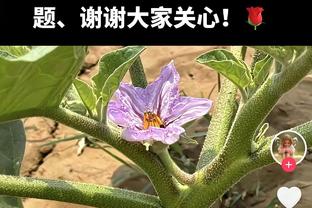 加拉格尔全场数据：5次抢断，2次关键传球，评分7.5全场最高